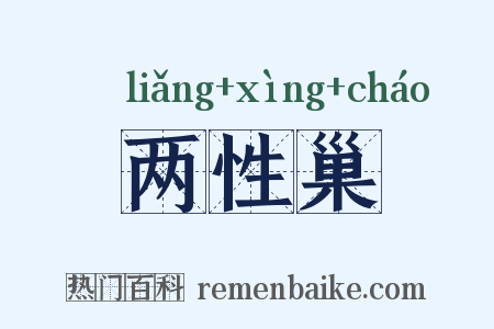 两性巢是什么意思的图片